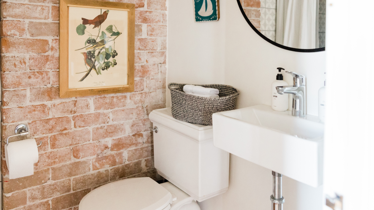 Stop That Drip Why a Leaky Toilet Needs Professional Help