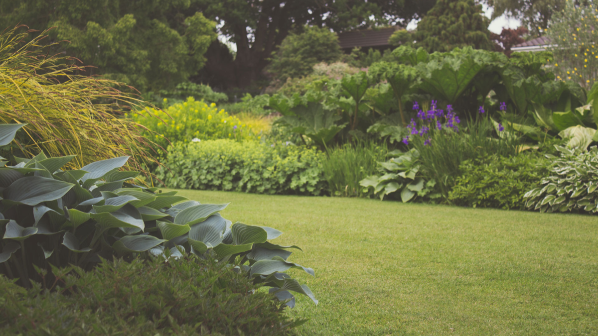 Ensuring Your Garden Looks Beautiful In Winter 7 Tips